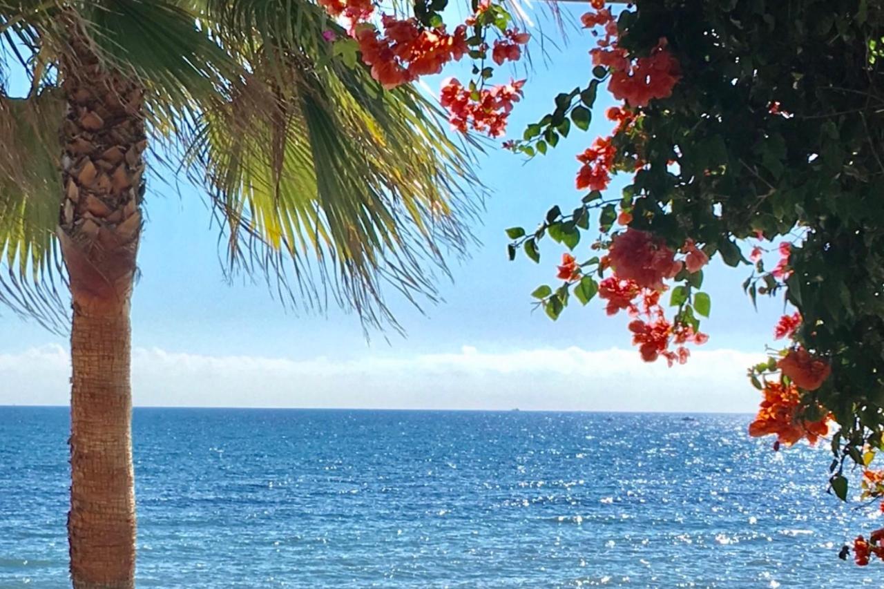 Marbella - Alicate Beachfront Apartment-9 Dış mekan fotoğraf